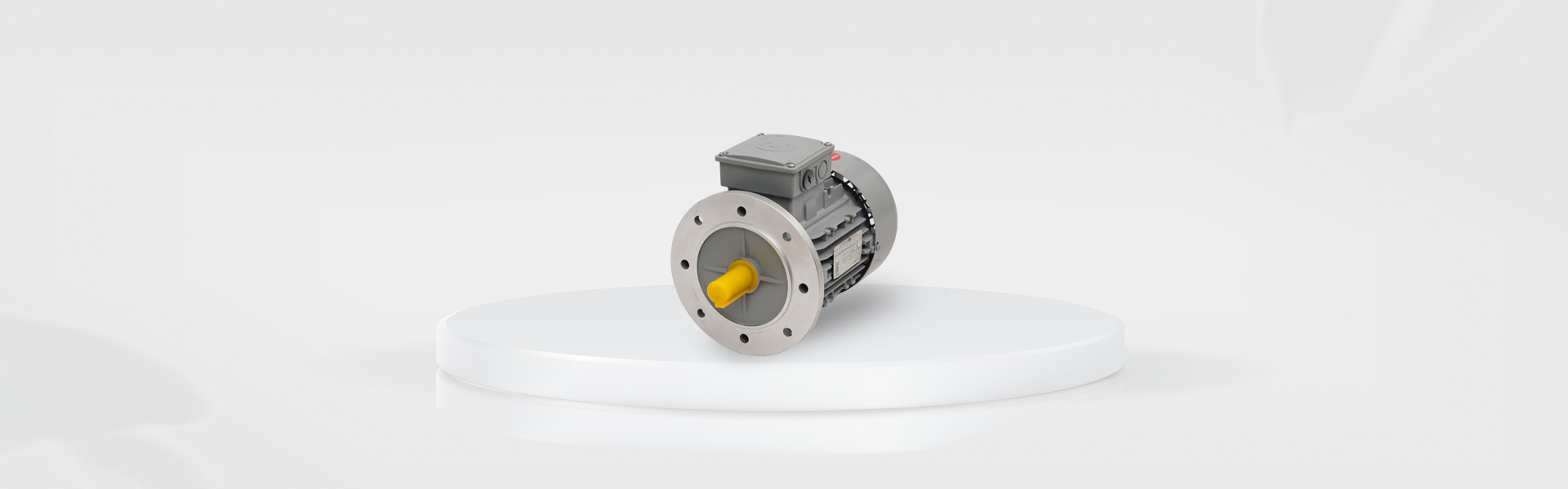 General Purpose Aluminium Motor