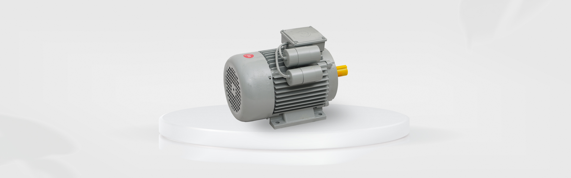 General Purpose Cast Iron Motor